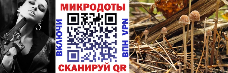 Купить закладки  Тетюши  Галлюциногенные грибы ЛСД 
